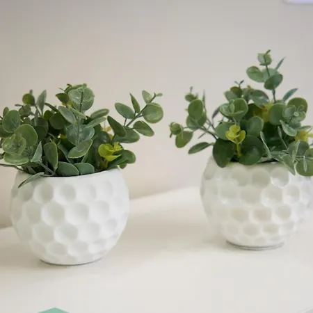 Frühstückspension Colors 3*